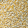 Blat de moro per a crispetes | Granel | 100g min