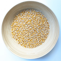 Blat de moro per a crispetes | Granel | 100g min
