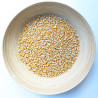 Blat de moro per a crispetes | Granel | 100g min