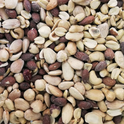 Còctel torrat sense sal| Granel | 100g min
