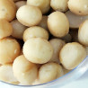 Macadamies fregides salades | Granel | 100g min