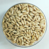 Pinyons del país| Granel | 50g min