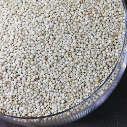 Semillas de quinoa| Granel | 100g min